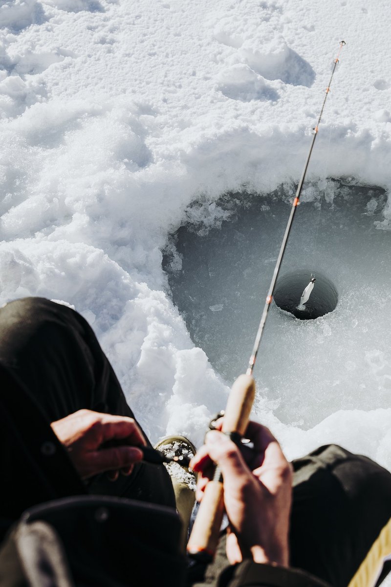 Entspannendes Eisangeln: Die Erfahrungen mit Online-Eisangelnspielen in in Germany